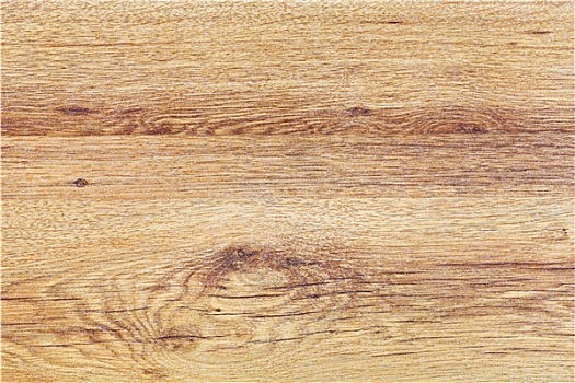 橡树,木板,特写