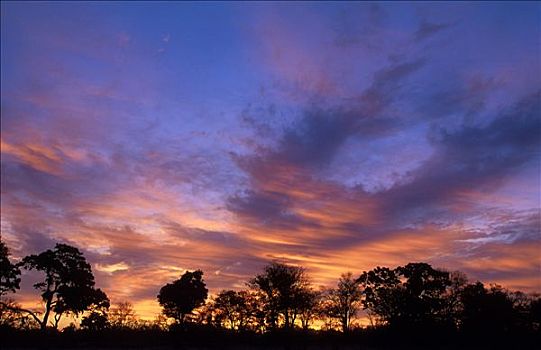 博茨瓦纳,区域,日落,奥卡万戈三角洲