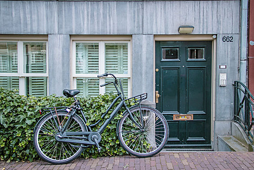 绿色,自行车,正面,公寓