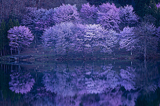 湖,日本