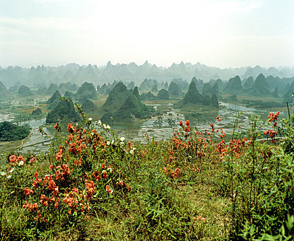 风景,靠近,玉龙河,喀斯特地貌,山景,阳朔,桂林,广西,中国,亚洲