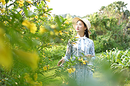 杨玉环香港