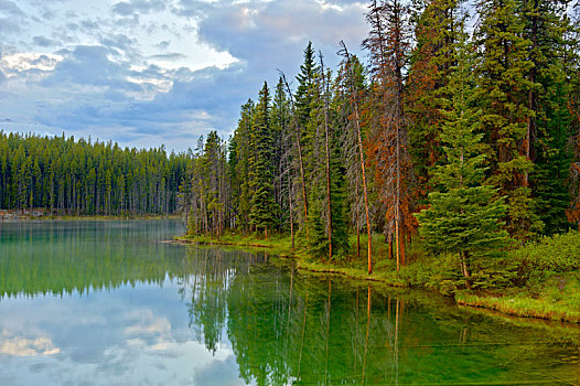 赫伯特湖,班芙国家公园,加拿大