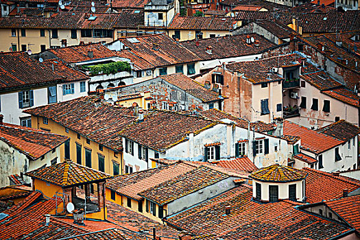 卢卡,屋顶,俯视,意大利