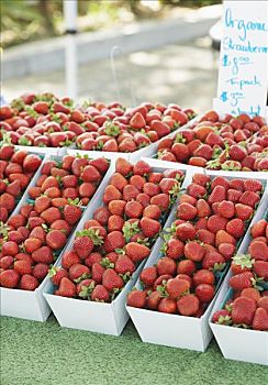 草莓,有机,农贸市场
