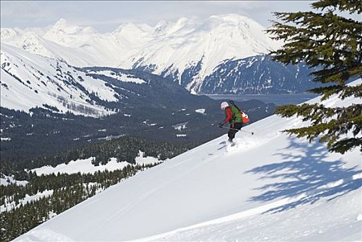 女人,滑雪,下坡,山脊,区域,阿拉斯加,冬天