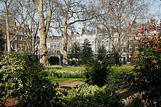 花园,布鲁姆斯伯里,伦敦,英国
