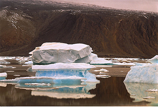 海冰,冰山,艾利斯摩尔岛,加拿大