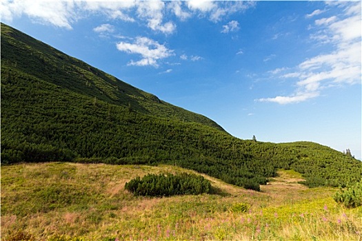 风景,夏天,蓝天,云