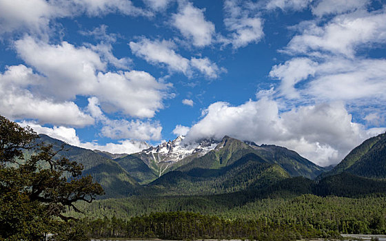 风景