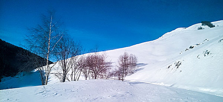 新疆喀纳斯禾木雪景