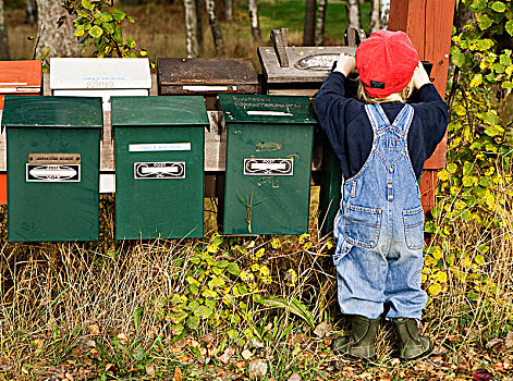 男孩,张望,邮箱,瑞典