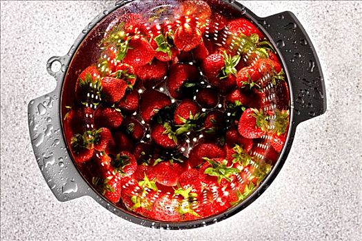 草莓,滤器
