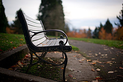 公园,长椅,秋天