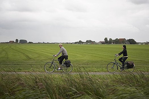 骑车,自行车道,靠近,荷兰