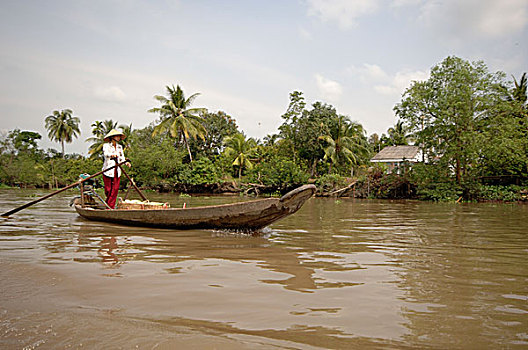 亚洲,越南,女人,划船,传统,木船,芹苴