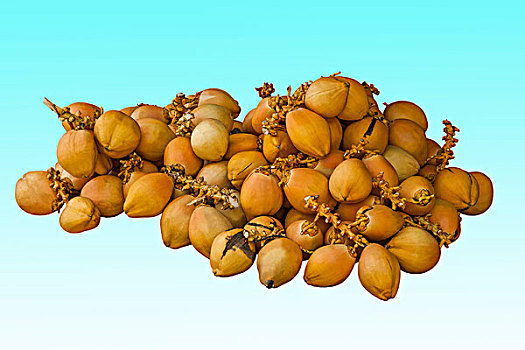 海南三亚大小洞天游览区的椰子水果摊