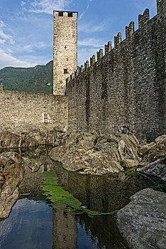 城堡,墙壁,城市风光,贝林佐纳,提契诺河,瑞士