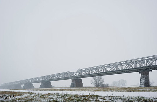 老,铁路桥,上方,河,雪,白天,格尔德兰,荷兰