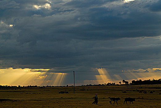 日落,高地,埃塞俄比亚,非洲