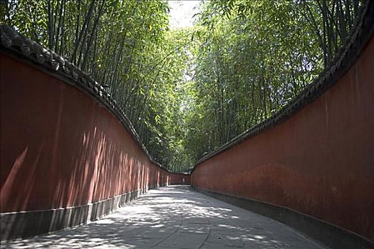 竹子,道路,纪念,庙宇,中国