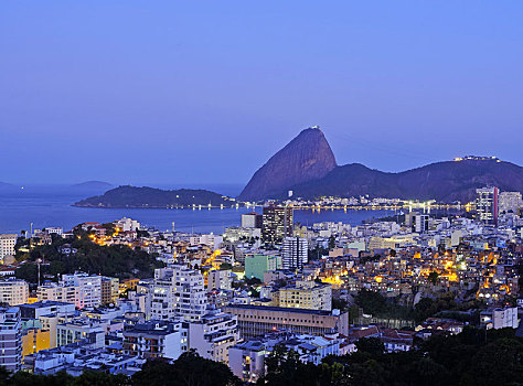 风景,俯视,面包山,黎明,里约热内卢,巴西,南美