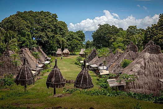 传统,屋舍,乡村,东方,印度尼西亚,亚洲