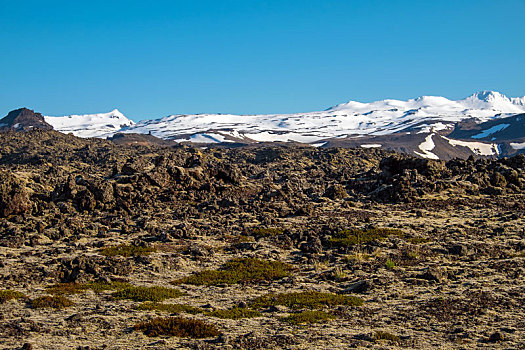 熔岩原,雪山,斯奈山半岛,冰岛