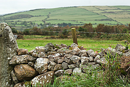 石头,刺铁丝网,农田,背景,爱尔兰