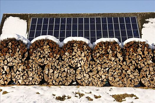 太阳能电池板,一堆,木柴,冬天,靠近,湖,黑森林,巴登符腾堡,德国,欧洲