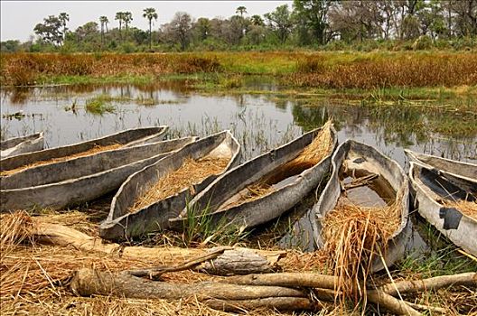 独木舟,奥卡万戈三角洲,奥卡万戈河,沼泽,博茨瓦纳