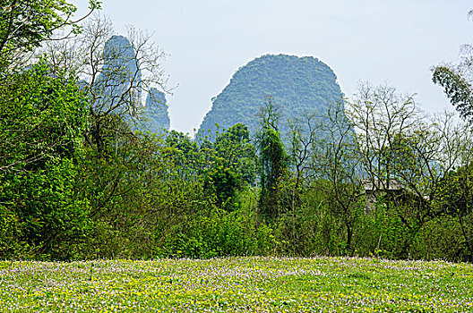 桂林田园风光