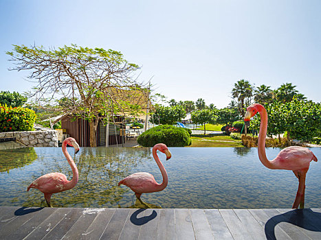 海南三亚香水湾君澜度假酒店无边泳池畔火烈鸟雕塑