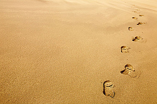 脚印,沙滩,沙丘,沙漠,概念