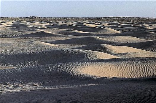 晚间,气氛,沙漠,沙丘,靠近,北非