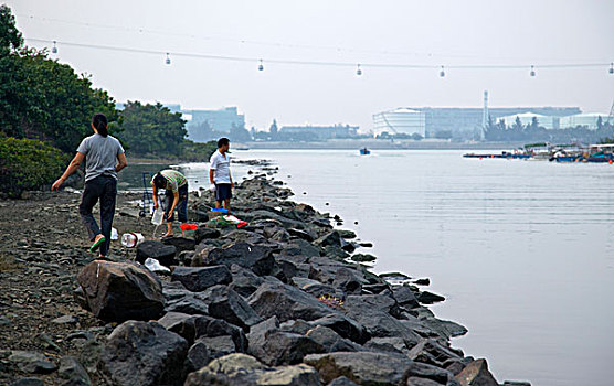 人,捕鱼,海岸,香港