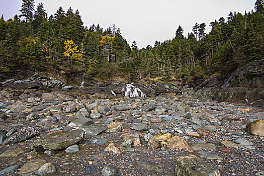 河流,瀑布,海滩,芬地湾国家公园,新布兰斯维克,加拿大