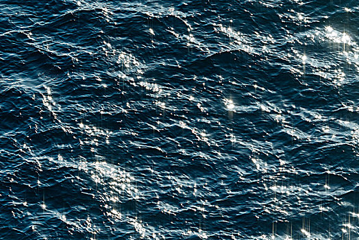 海洋,表面,北海