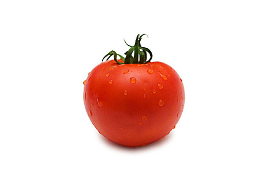 西红柿,隔绝,白色背景,浅,景深