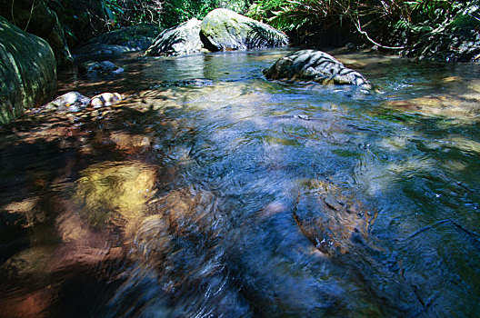 小溪,河流,流动,水纹,慢门,岩石,波纹,水,水资源,水域,岩层,自然地理,大自然,自然环境,自然景观,生态,风景,旅游,夏天,中午,白昼,晴天,探索,地形,清新,目的地