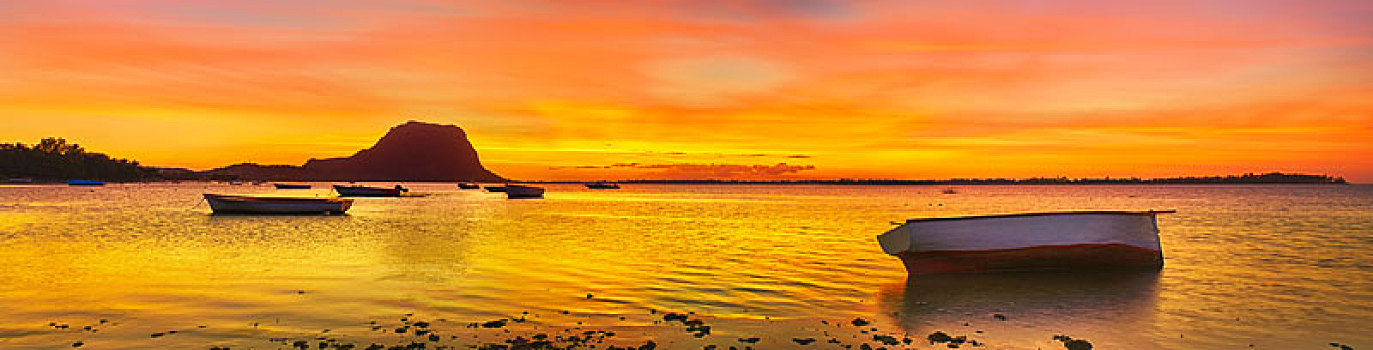渔船,日落,时间,布拉班特,背景,全景