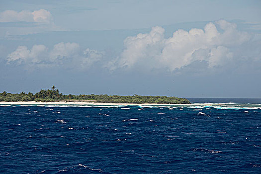 西部,太平洋,密克罗尼西亚联邦,岛屿,雅浦岛,小,遥远,围绕,珊瑚礁,大幅,尺寸