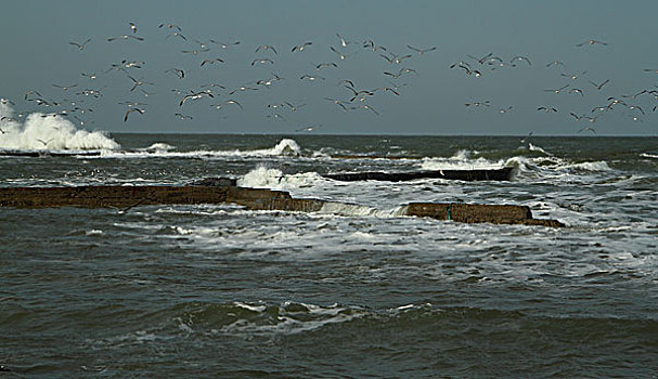 海滨风景