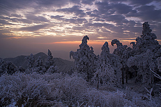衡山冬景