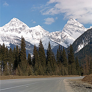 公路,壮观,山脉,金色,不列颠哥伦比亚省,加拿大
