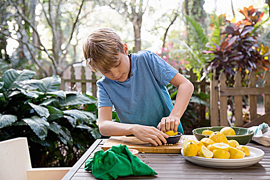 男孩,挤,柠檬,柠檬水,花园桌