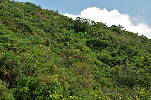 河北省石家庄平山县藤龙山风景区