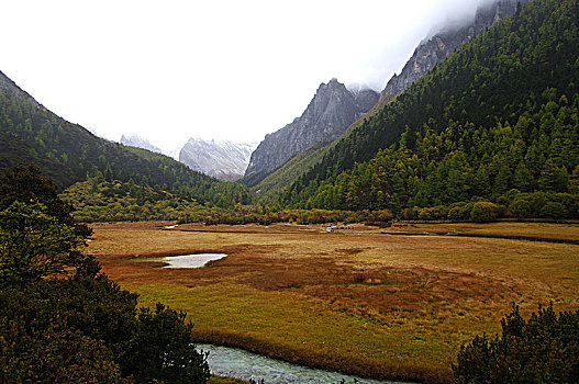 丽江小景