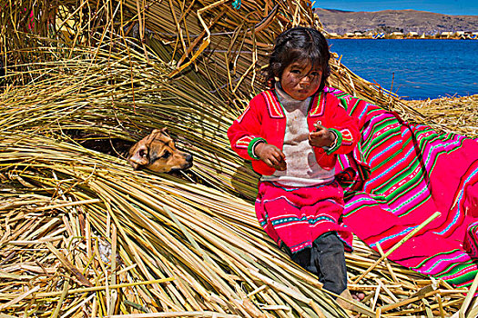 女孩,印第安人,5岁,穿,传统服饰,坐,靠近,狗,芦苇,捆,漂浮,岛屿,提提卡卡湖,南方,秘鲁,南美
