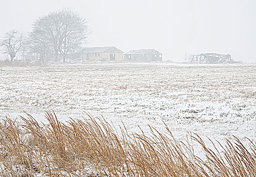 农舍,暴风雪,阿肯色州,美国
